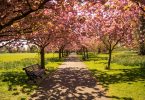banc de jardin