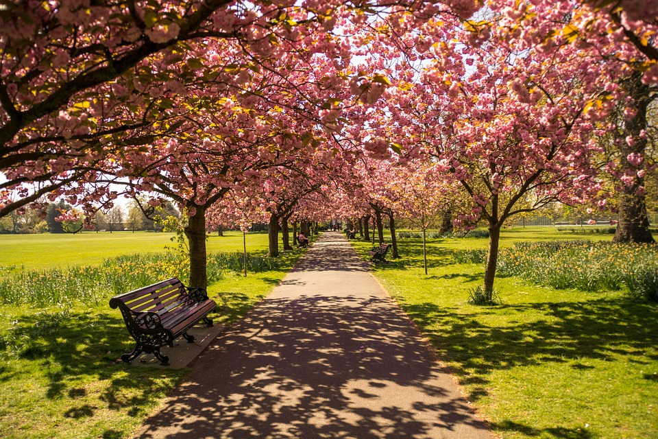 banc de jardin