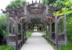 pergolas en bois