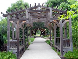 pergolas en bois