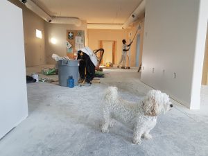 travaux dans maison