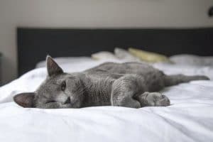 acheter un matelas mémoire de forme