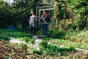 Bac à Compost en Bois Facile à Charger - Grande Taille (718