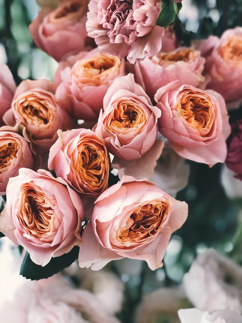 cadeau fleurs