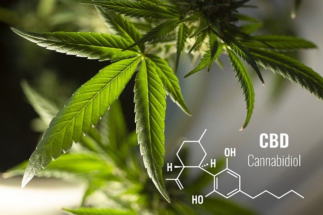 migraines cbd