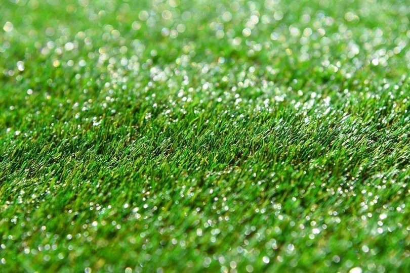 Gazon synthétique haut de gamme : Une belle pelouse