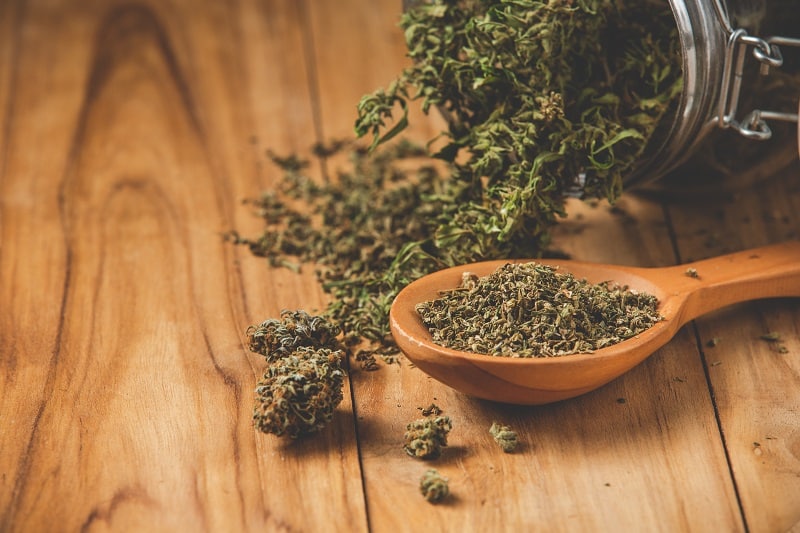 CBD : une molécule à la rescousse du moral en berne des Français (Ifop)