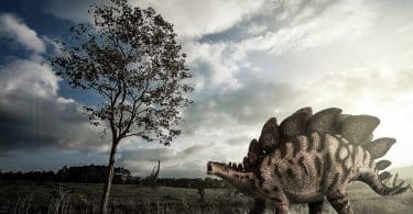 Le parc au dinosaures ferme ses portes un jour seulement après son ouverture dans le Loir-et-Cher
