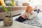 Quel jouet pour un chat d'appartement ?