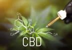 Huile au cbd et adaptogènes pour le bien être