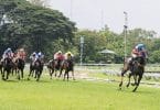 Quels sont les meilleurs chevaux de course de plat ?