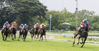 Quels sont les meilleurs chevaux de course de plat ?