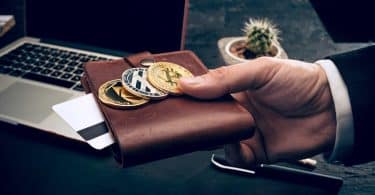 Stratégies d'Investissement en Cryptomonnaie : HODLing, Trading ou Diversification ?