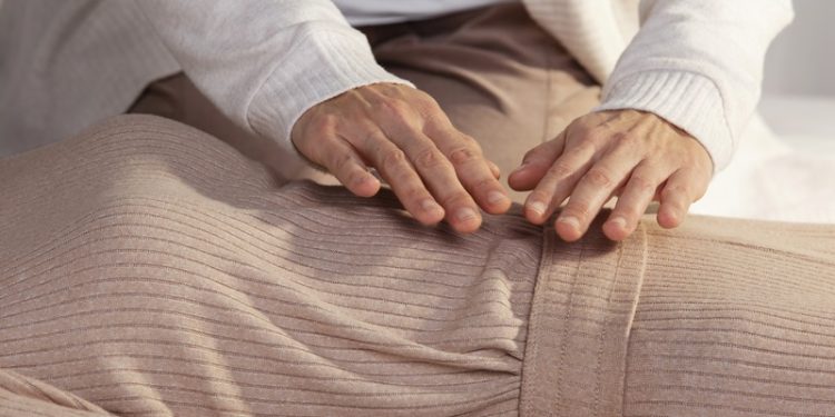 Le magnétisme à distance : un miracle pour les animaux et les humains ?