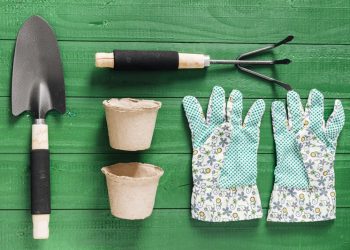 Quels sont les outils indispensables à l'entretien du jardin ?