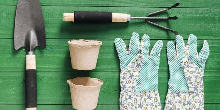 Quels sont les outils indispensables à l'entretien du jardin ?