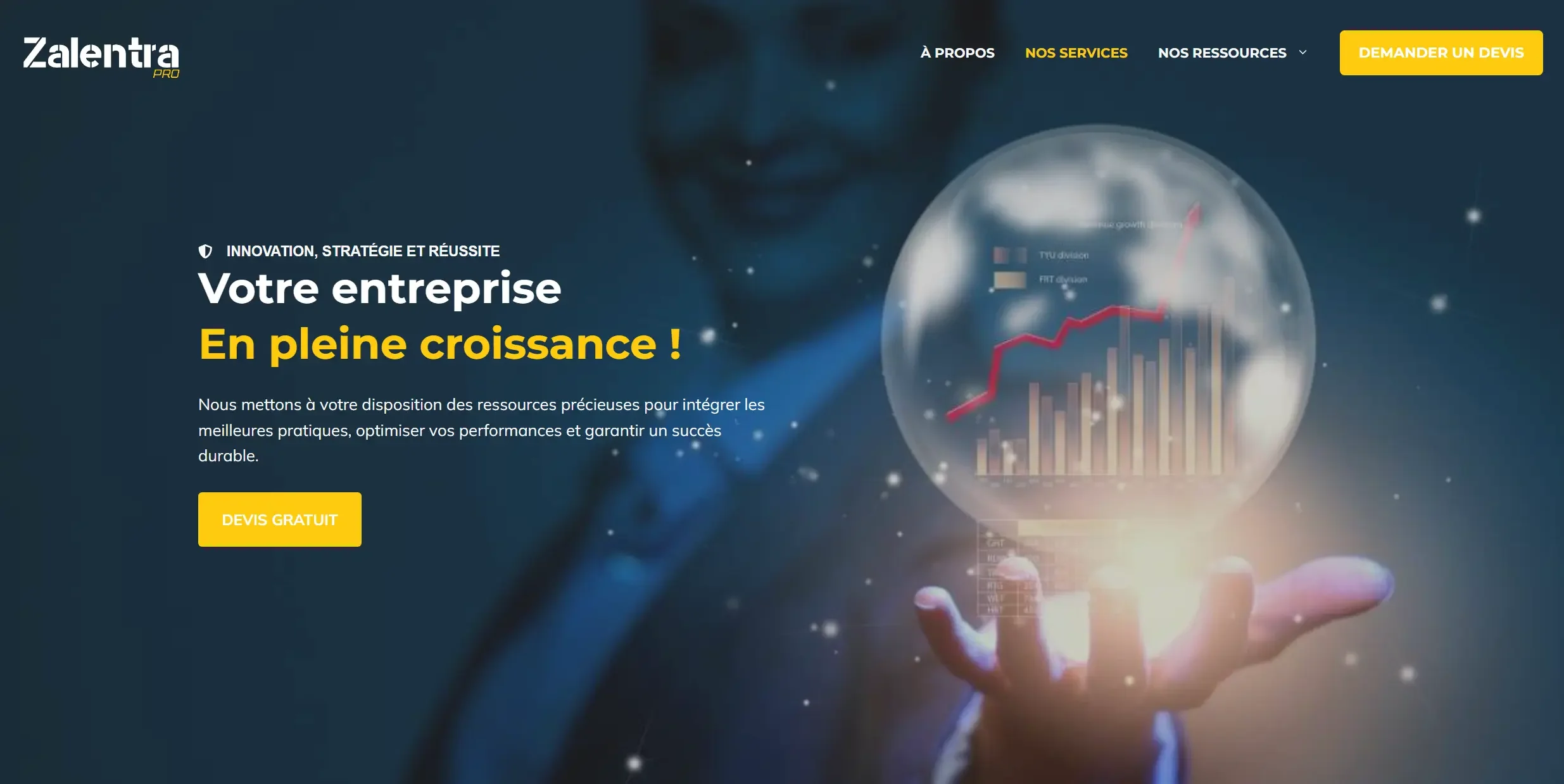 Avis sur zalentrapro.fr et analyse complète de la plateforme